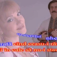 Adriana Ochișanu - Mustața socrului meu